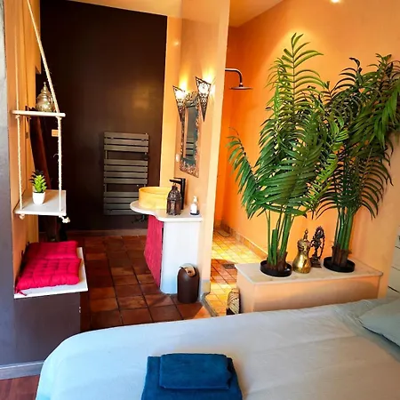 Le Cocon Des Arcades - Central, Balcon - * Limoux