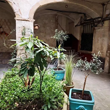 Le Cocon Des Arcades - Central, Balcon - Limoux